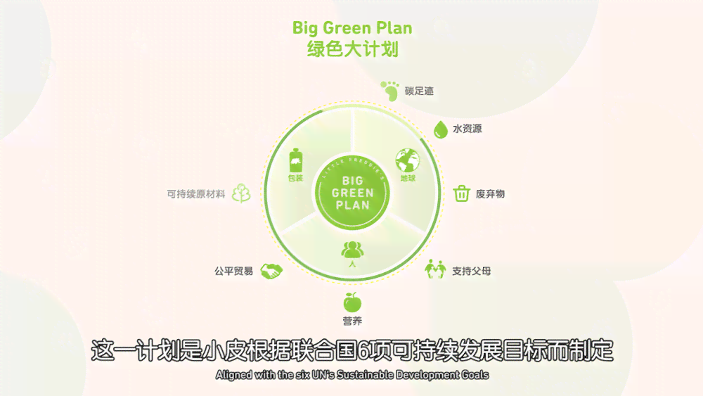 小皮we：全方位解析与深度使用指南，解决所有相关疑问