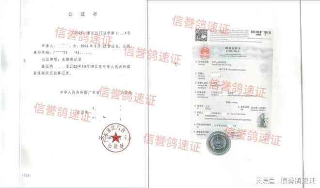在职证明公证全指南：办理流程、所需材料及注意事项解析