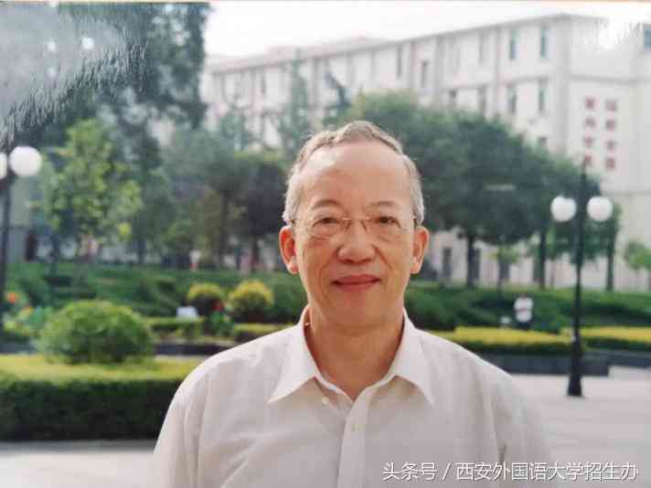 业论文用什么语言写选择及大学适用性探讨
