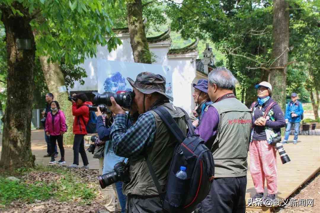 华为ai写作软件：免费安装助手体验高效写作
