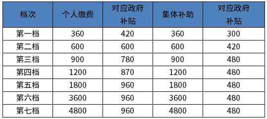 城乡居民养老保险算工龄吗：与城镇职工养老差异解析