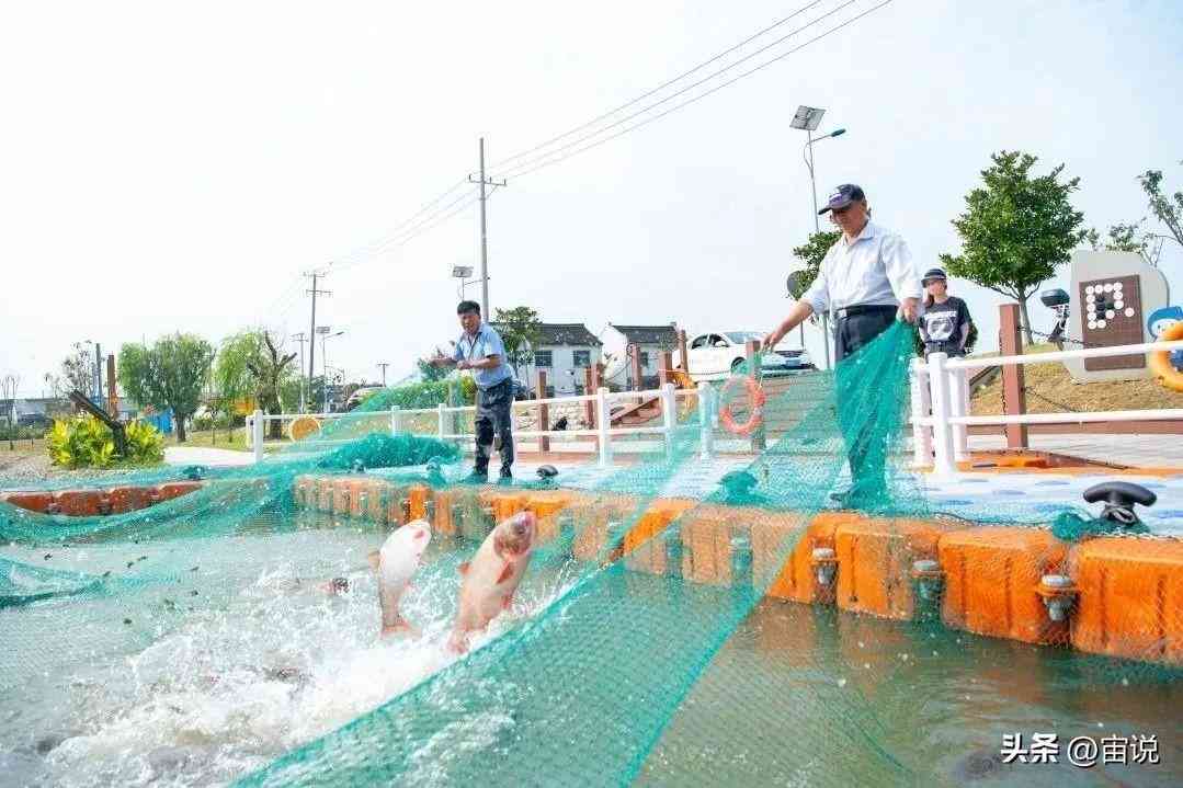 基于人工智能领域的文献调研与分析：撰写详尽报告指南