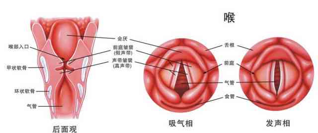 声带白斑认定工伤：其严重性、致命性、发病率及对寿命影响与手术必要性解析