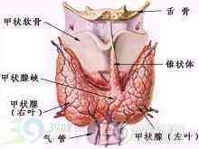 声带结节治疗方式详探：手术疗法与非手术疗法全面解析