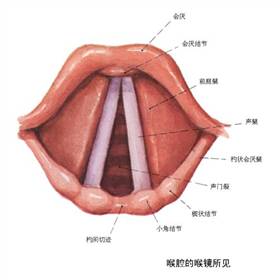 声带结节：了解其危害、成因、症状及治疗对策