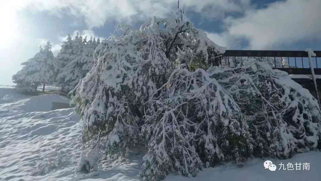 雪域风情：冬日暖阳下的个性写     题