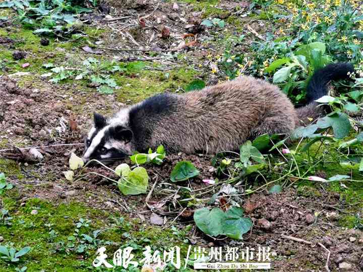 工伤认定：如何依据外伤严重程度划分工伤等级高低