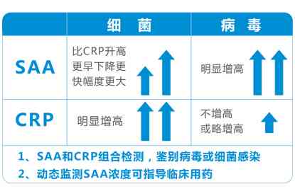 基于大数据分析的AI论文写作技巧与实证研究