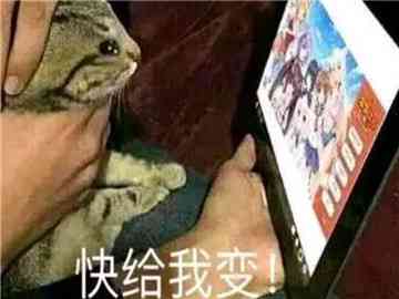 探秘抖音：二次元世界里的经典台词与流行语录