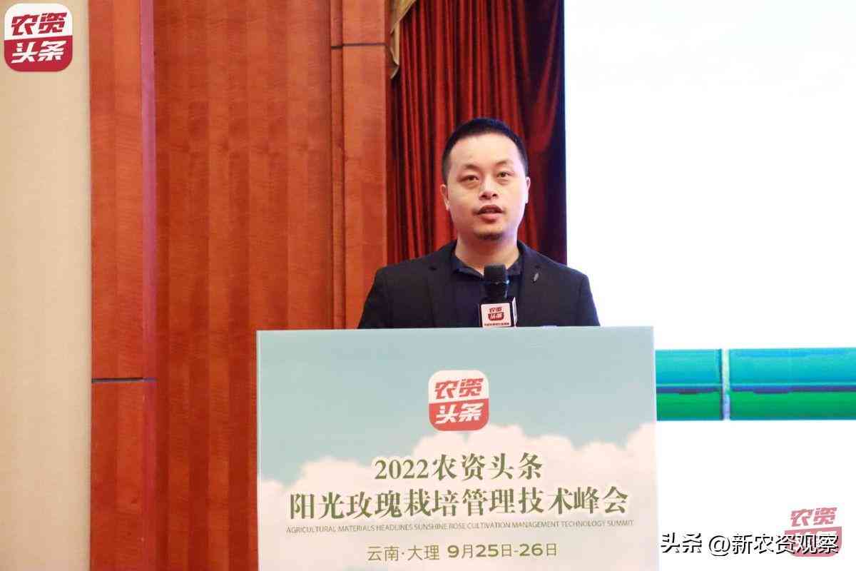 'AI赋能：深入剖析头条文章写作结构解析'