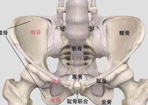外踝韧带损伤复周期解析：恢复时长与影响因素探究