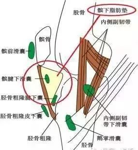 外踝韧带损伤复周期解析：恢复时长与影响因素探究