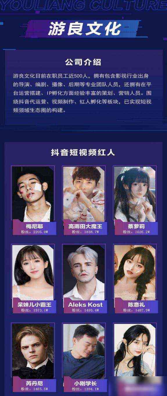 全方位解析：抖音热门二次元形象设计与打造攻略