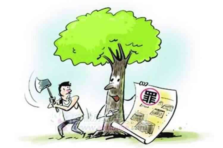 频繁恶意破坏公共及私人财产