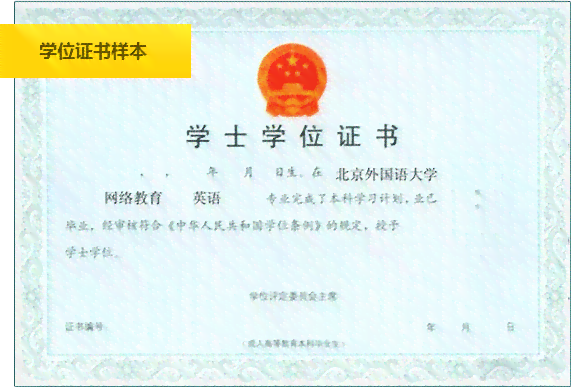大专未业者的学历认定与未来发展：探讨学历不足的解决方案与提升途径