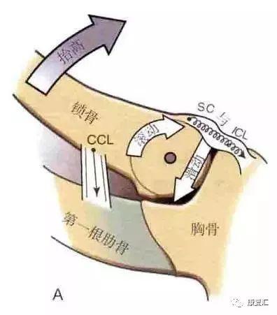大关节脱臼可以认定工伤吗