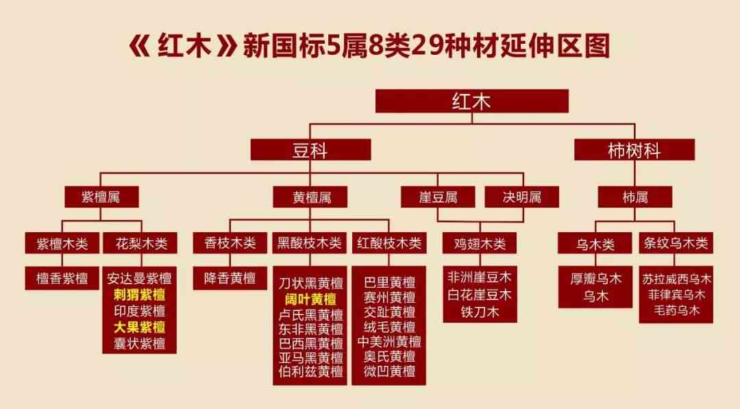 最新中型与大型企业分类及认定标准详解：全面解读企业规模划分与相关政策