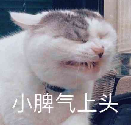 文案狗软件最新版与安装教程：覆链接、使用技巧及常见问题解答