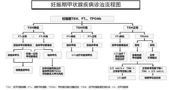 '大连工伤认定指南：详尽流程解析与办理要点梳理'