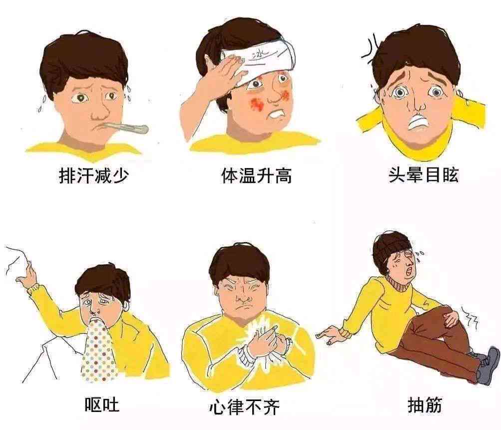 高中暑引发发烧：如何识别与应对