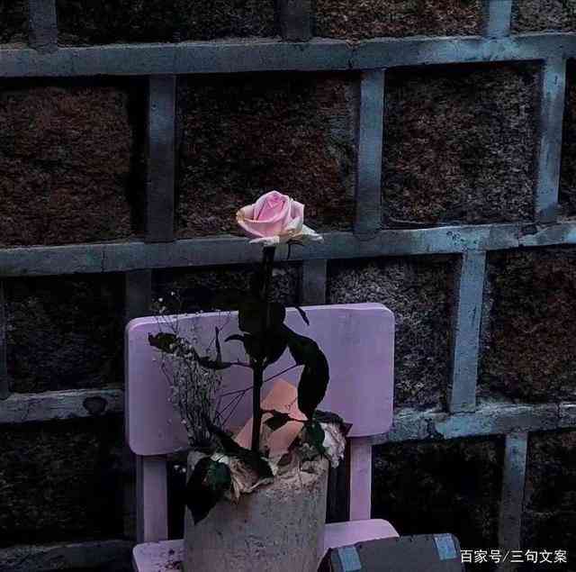 重生文案说说：短句伤感句子，重生成语意深重文案