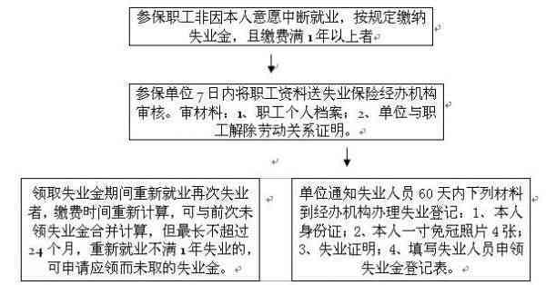 失业人员认定标准及流程：全面解读失业人员身份确认与福利申请指南