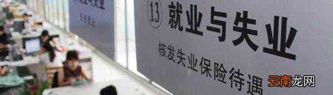 失业人员界定标准详解：如何准确判定及应对失业情况