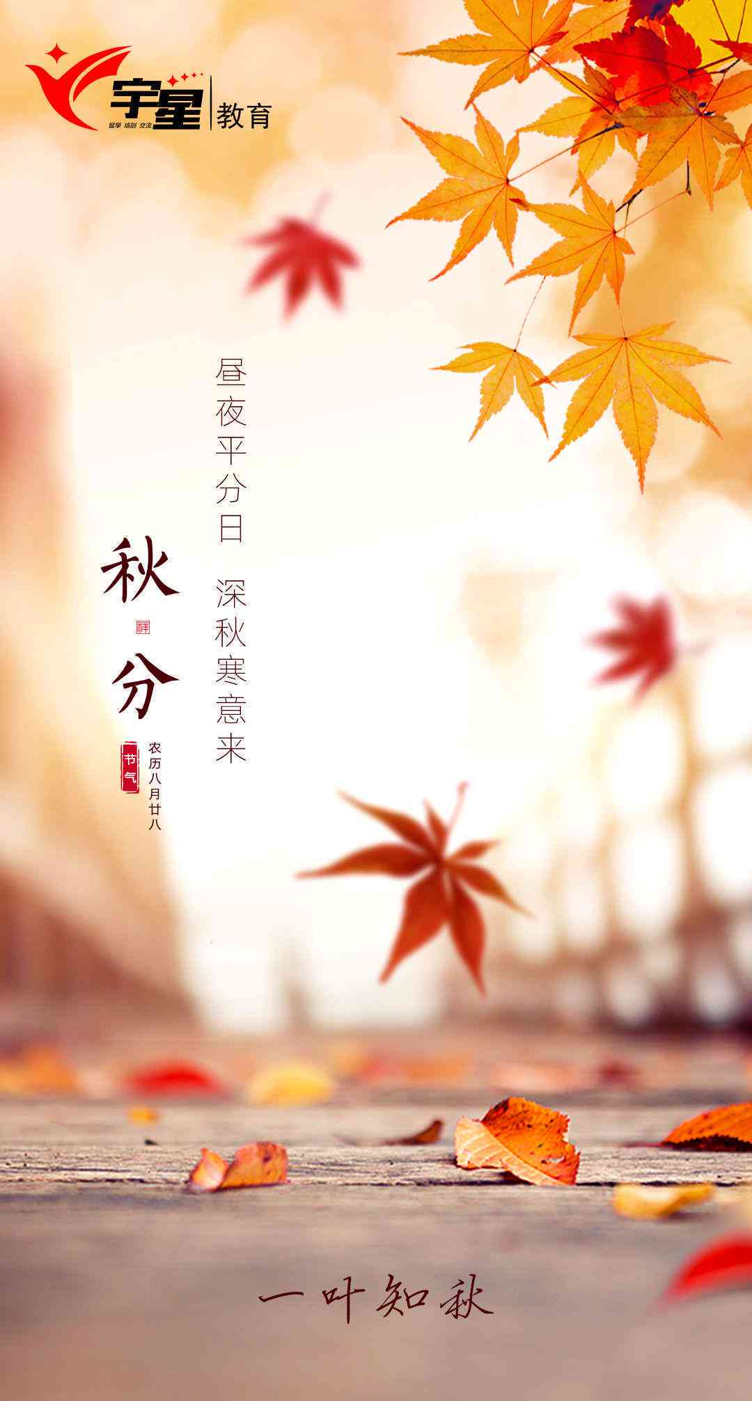 2023年度AI文案改写工具软件评测：盘点十大热门软件，全面满足高效写作需求