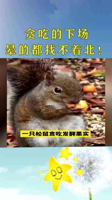 关于松鼠AI的文案有哪些：包含软件与说说精选集锦