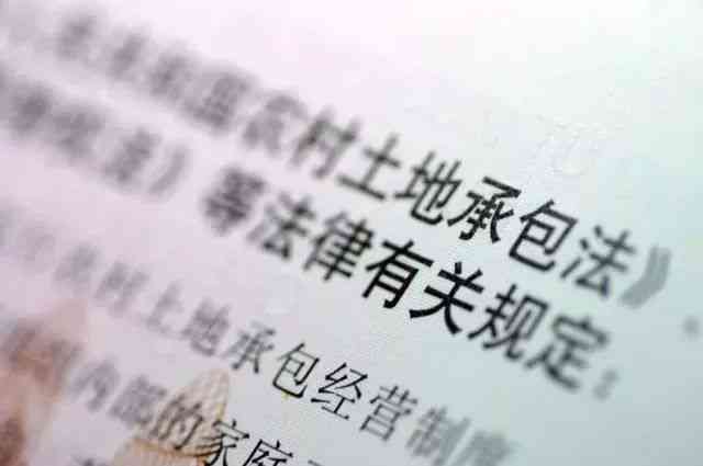 失地农民：失去土地是否等同于失业？