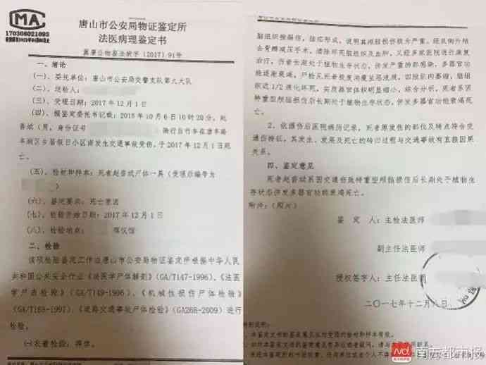 如何依据失散亲人情况评定工伤等级及认定标准