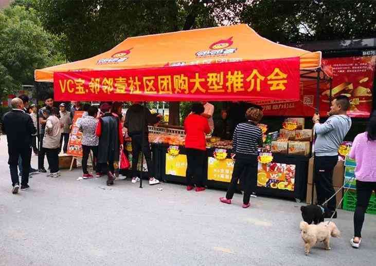 蚂蚁金服上市风波全景解析：监管、风险与市场影响再审视