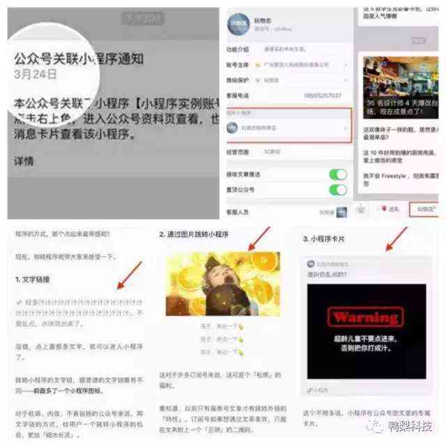 松鼠购买：人群、渠道、微信、链接及途径全解析