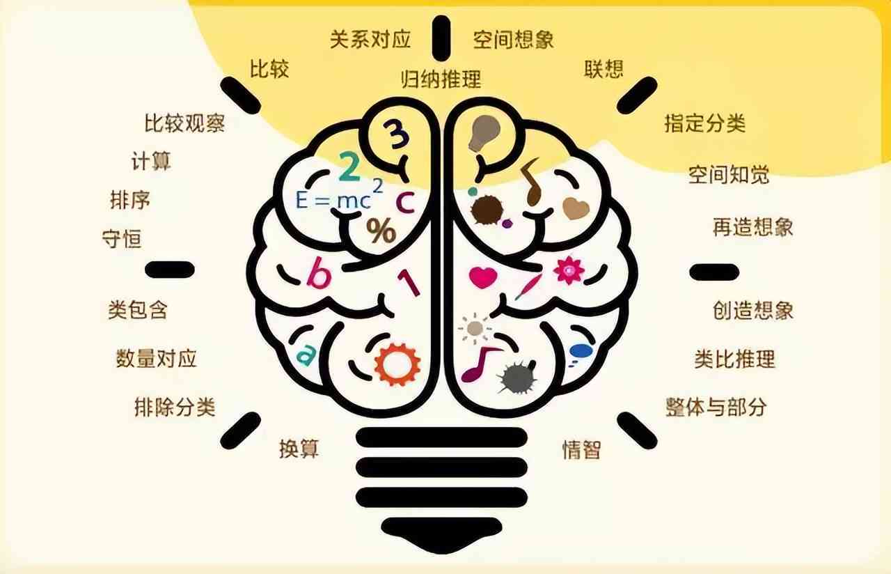 智慧核心——大脑功能与信息官网