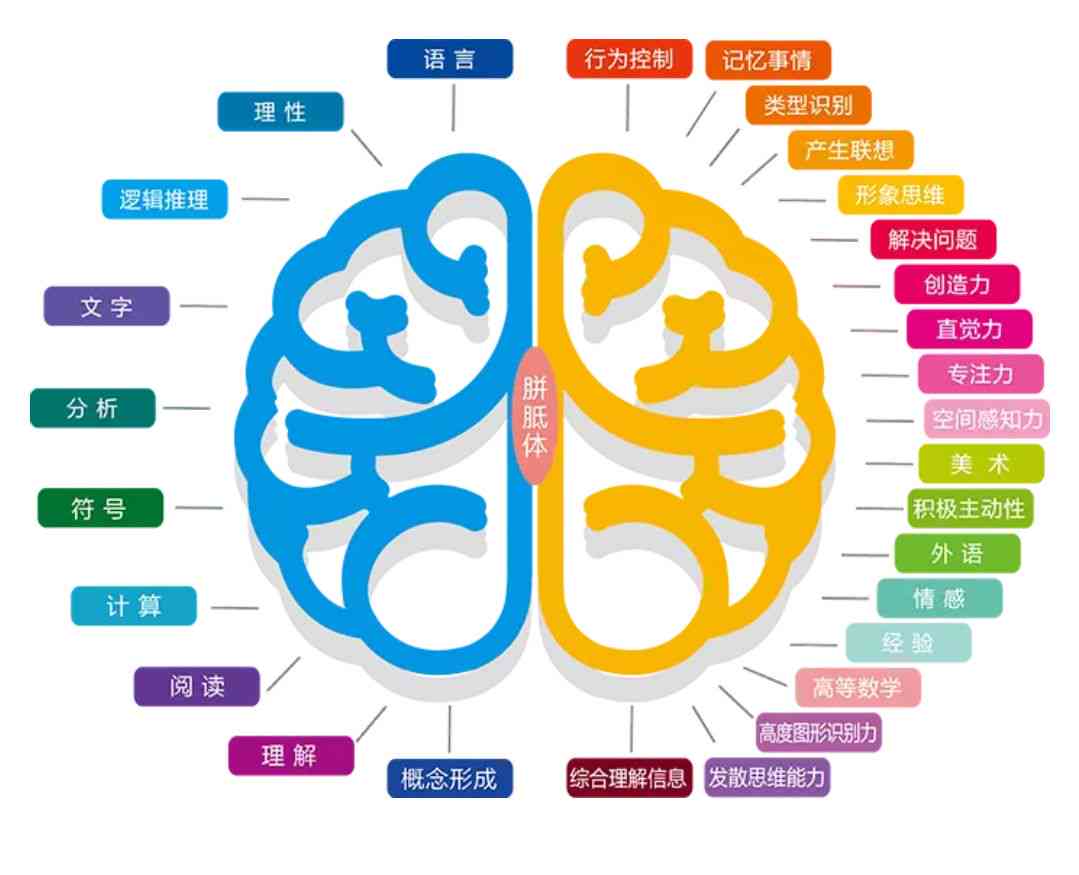 智慧核心——大脑功能与信息官网
