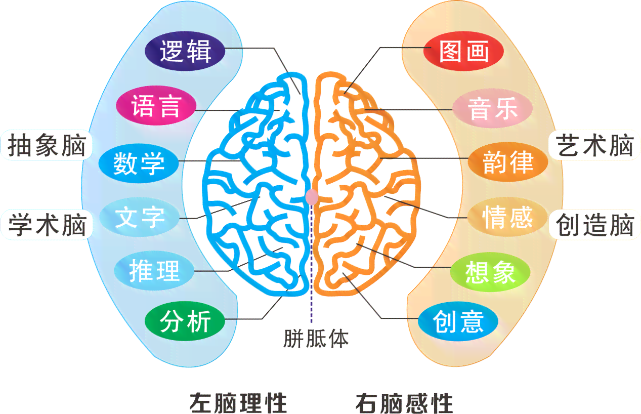 智慧核心——大脑功能与信息官网