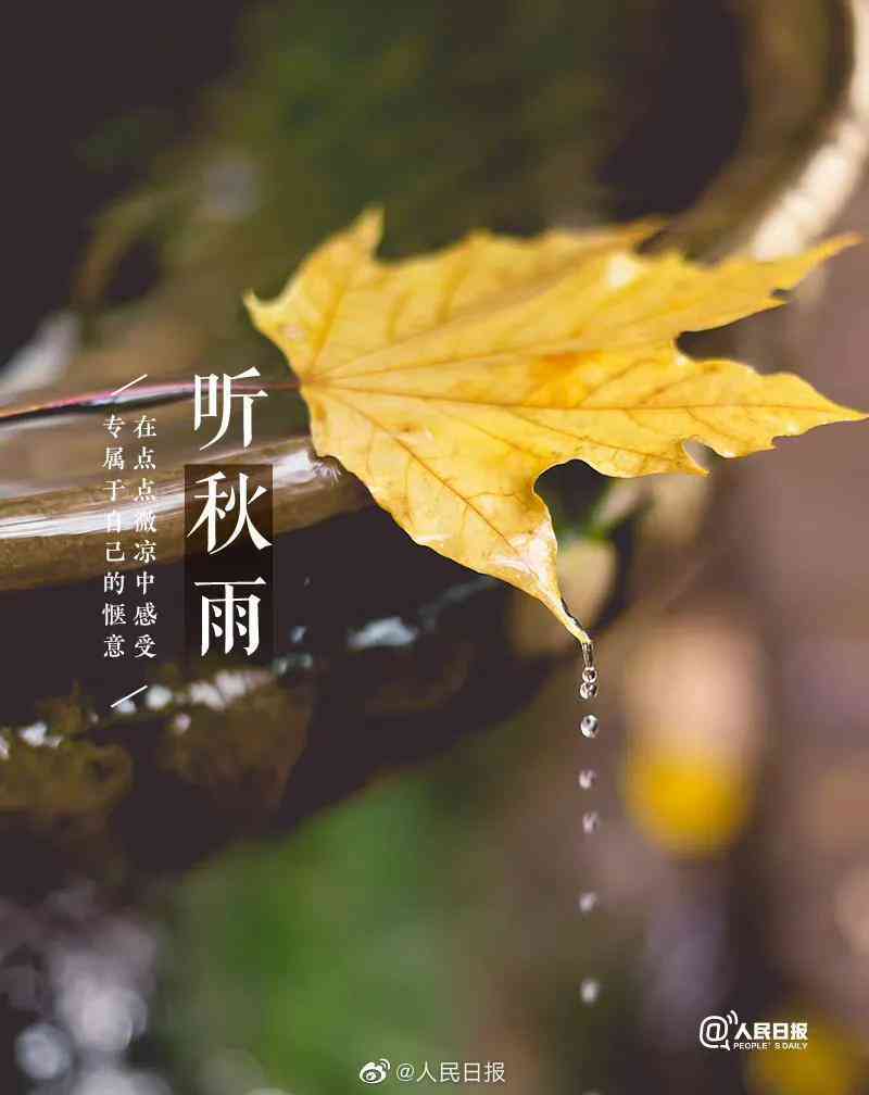 AI文案生成新趋势：一键打造热门短句，全面覆用户社交媒体需求