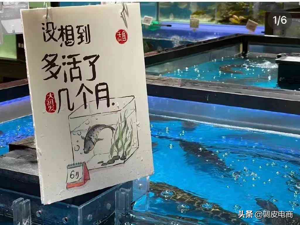 鱼文案怎么编辑：文字与排版技巧，打造高吸引力发布方法