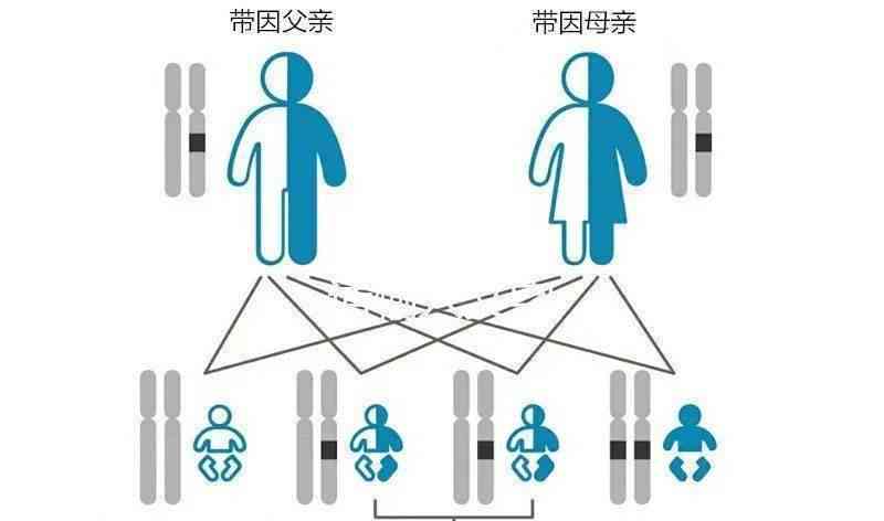 模拟自然环境的实验：设计、实与自然选择实验报告