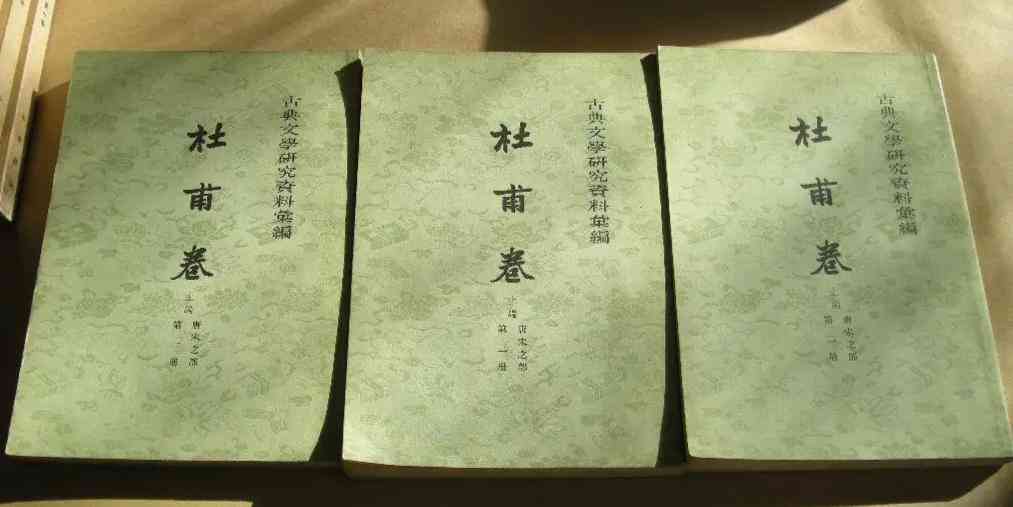 独家揭秘：吸引用户眼球的顶级子汇编，全面涵热门话题与趣味内容