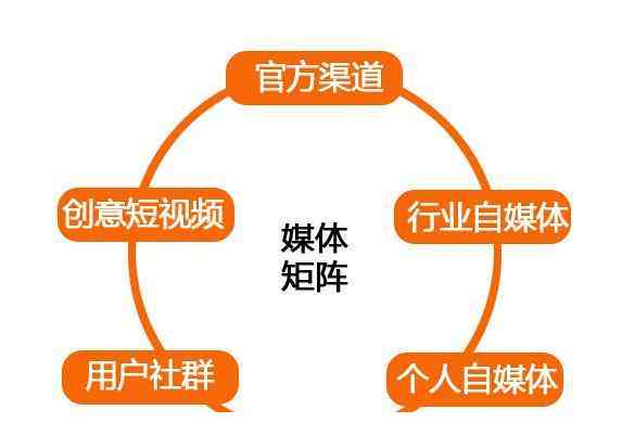 独家揭秘：吸引用户眼球的顶级子汇编，全面涵热门话题与趣味内容