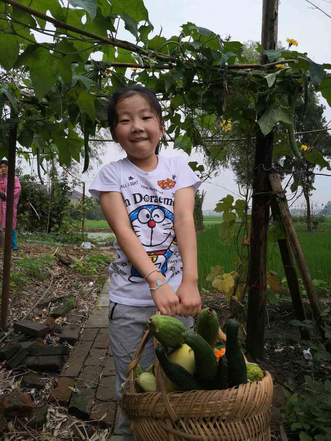 学生暑假工受劳动法保护吗：暑假工法律适用与劳动关系认定