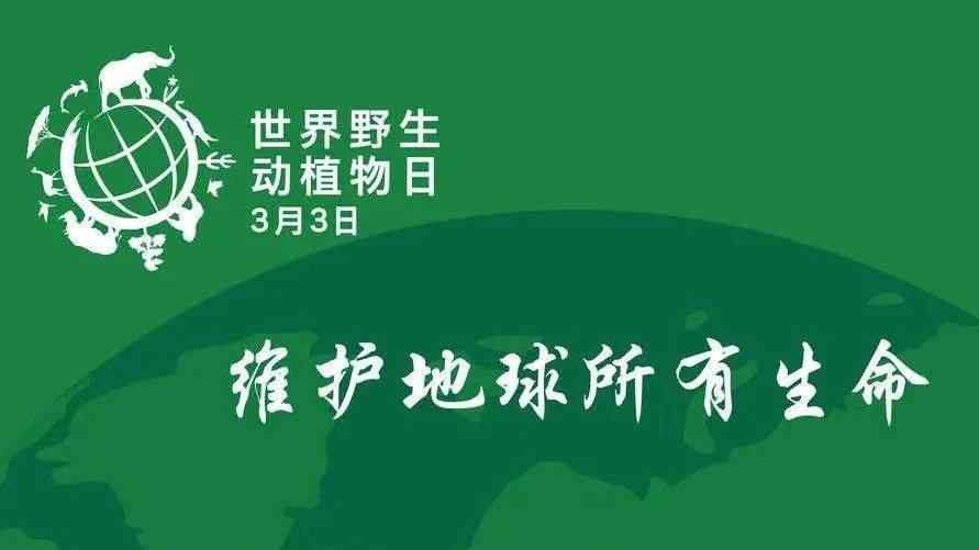 ai家居清洁文案怎么写以吸引人并提升效果