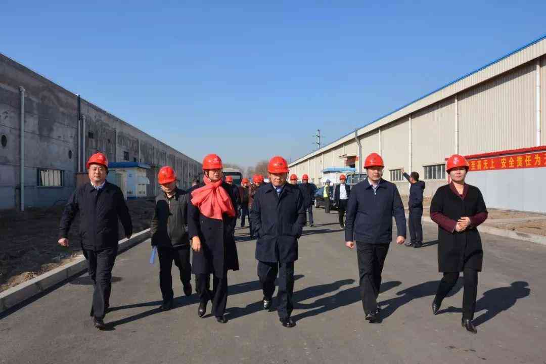 探秘安工业园区：揭秘多家重点工厂及产业布局