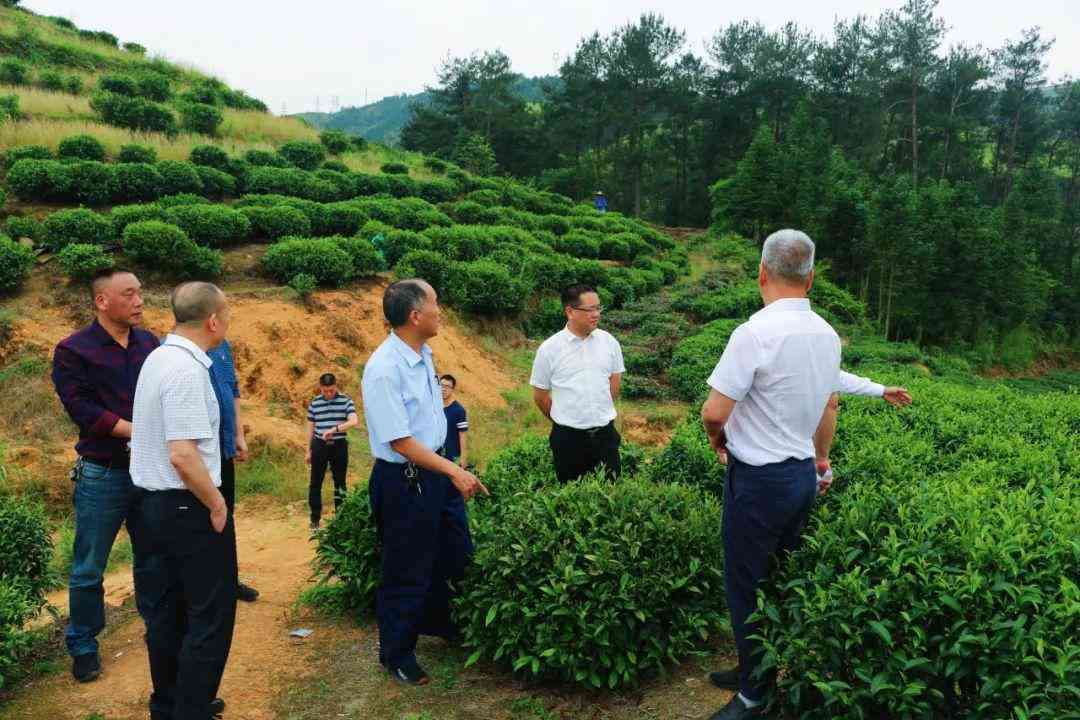探秘安工业园区：揭秘多家重点工厂及产业布局