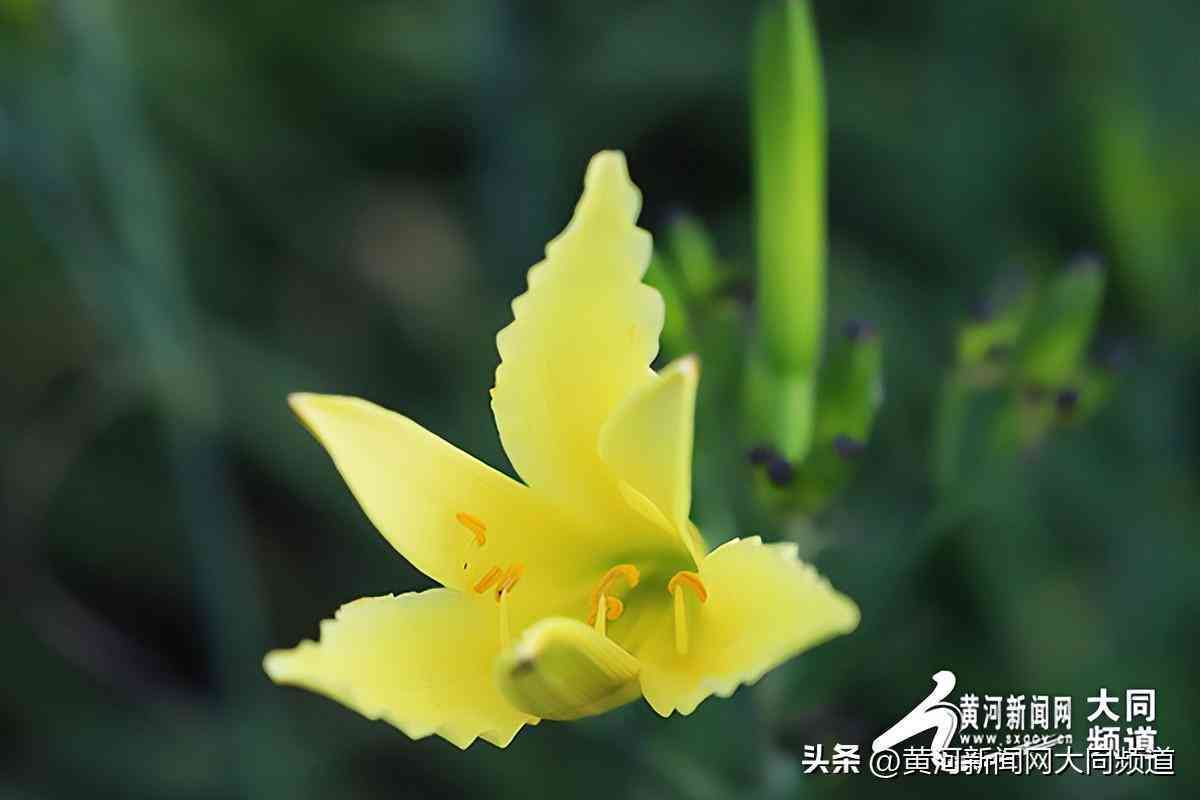 探店的文案怎么写：简短走心旅行文案技巧与实践