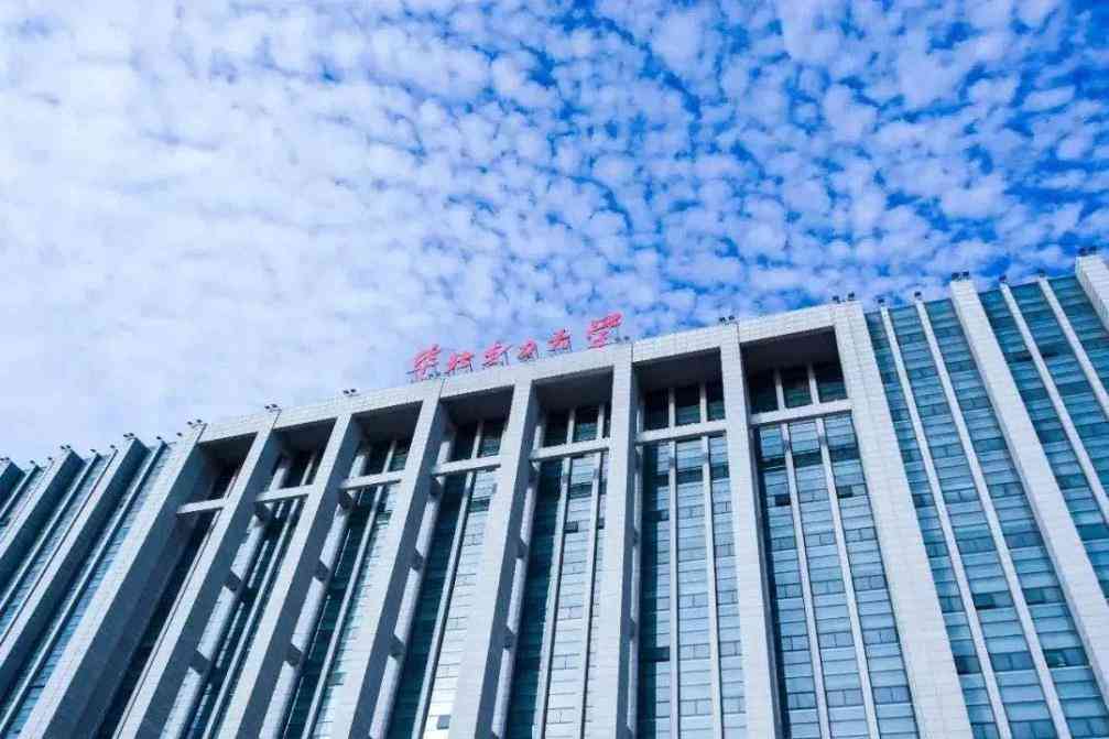 完整曝光：揭秘实际工作单位名称及所属行业、职位、工作内容全解析