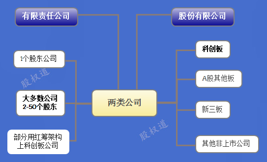 '企业实际控制人与经营负责人身份解析'