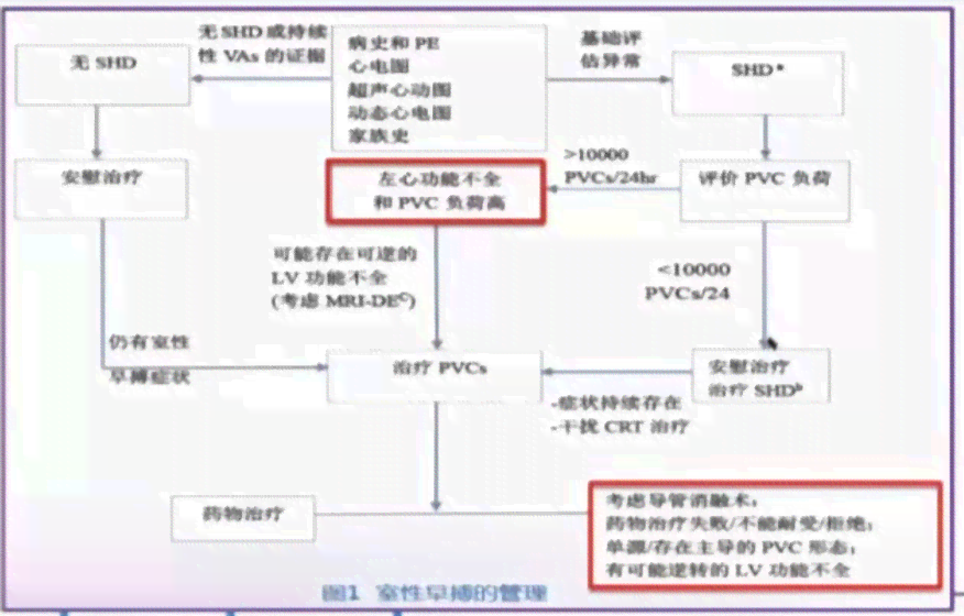 室性早搏患者能否申请残疾评定及所需条件和流程详解