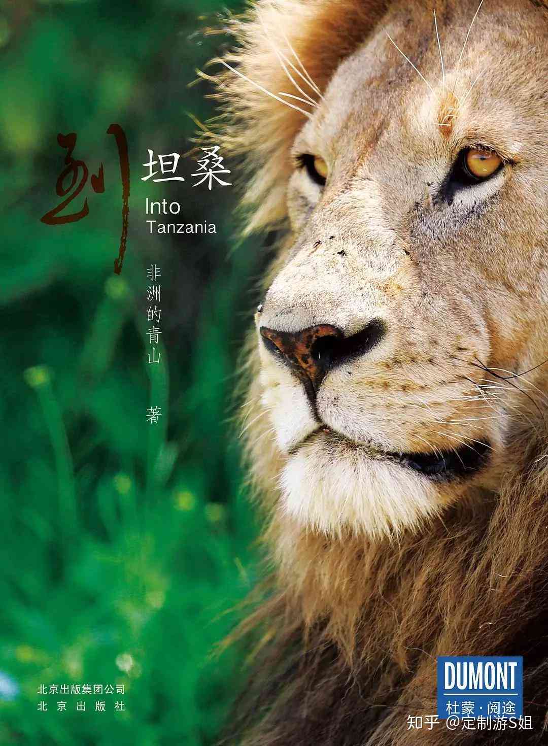 萌宠变身攻略：小动物文案创作指南